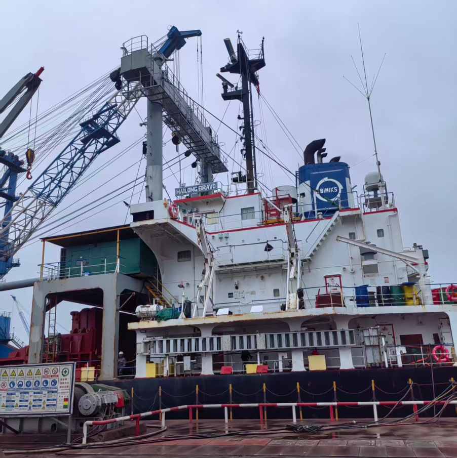 HAI LONG BRAVO during maintenance